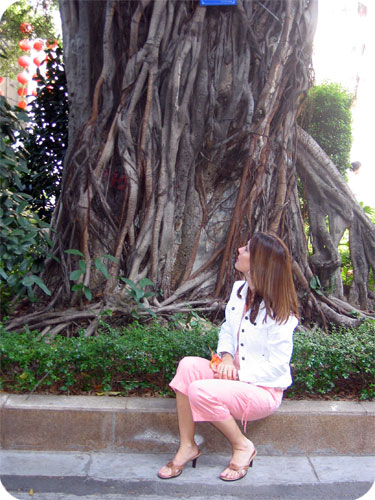 banyan-tree.jpg