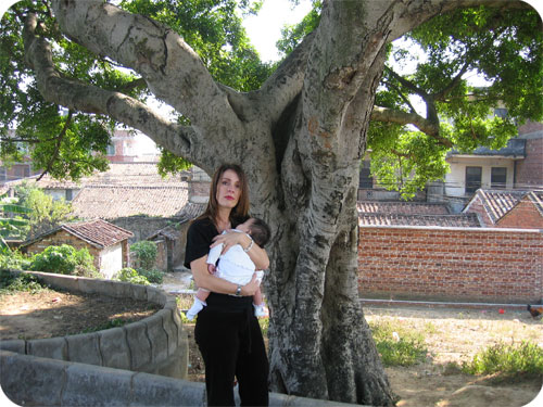 grandfather-banyan-tree.jpg